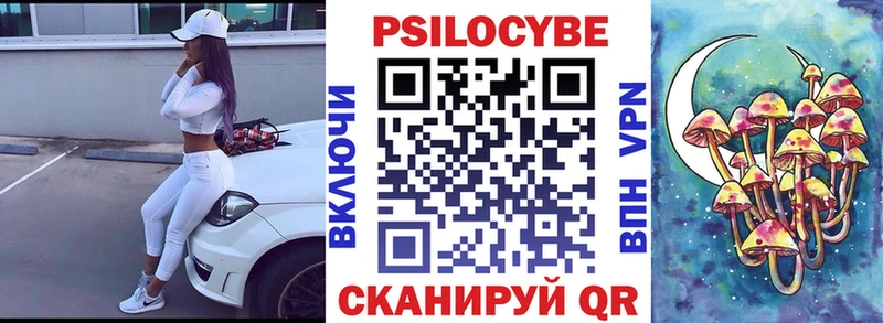 Псилоцибиновые грибы Psilocybe  Петушки 